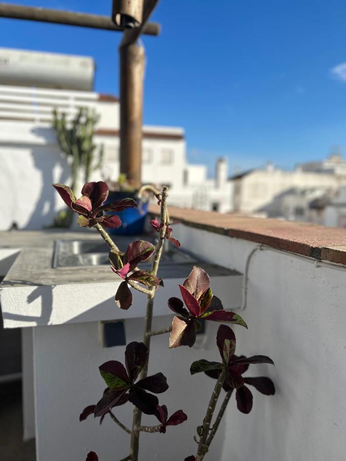 The Roof Διαμέρισμα Ταρίφα Εξωτερικό φωτογραφία